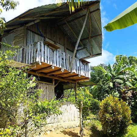 La Munequita Lodge 1 - Culture & Nature Experience Palmar Norte Kültér fotó
