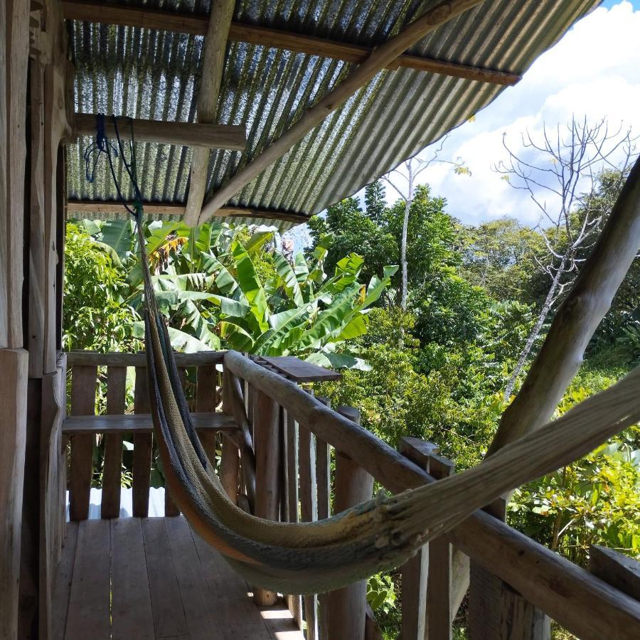 La Munequita Lodge 1 - Culture & Nature Experience Palmar Norte Kültér fotó